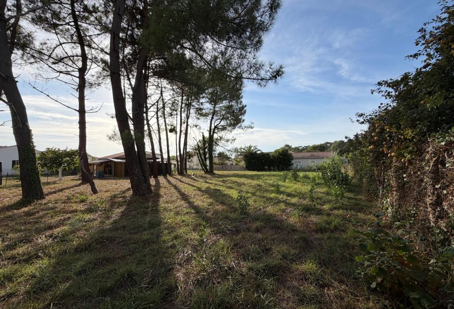 Terrain SAINT PALAIS SUR MER — photo 1