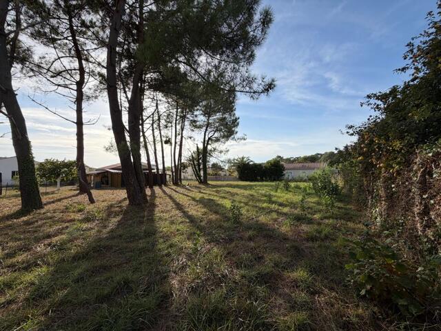Terrain proposé à Saint-Palais-sur-Mer