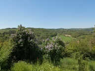 MAISON A VENDRE SAINT GERMAIN LAVAL - 141 m² - 5 CHAMBRES POSSIBLES - CAVE - JARDIN — photo 4