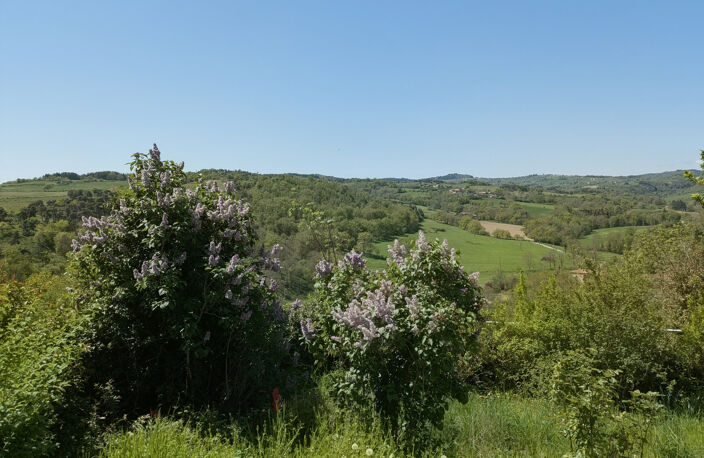 MAISON A VENDRE SAINT GERMAIN LAVAL - 141 m² - 5 CHAMBRES POSSIBLES - CAVE - JARDIN — photo 4