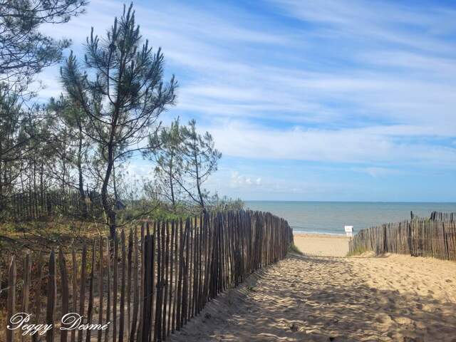 Maison à vendre 3 pièces LA TRANCHE SUR MER (85) - La Grière à 300m de la Plage - Résidence privée avec piscine — photo du bien