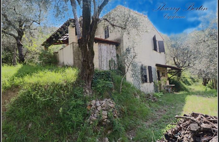 Maison à vendre 3 pièces BREIL SUR ROYA (06) — photo 2