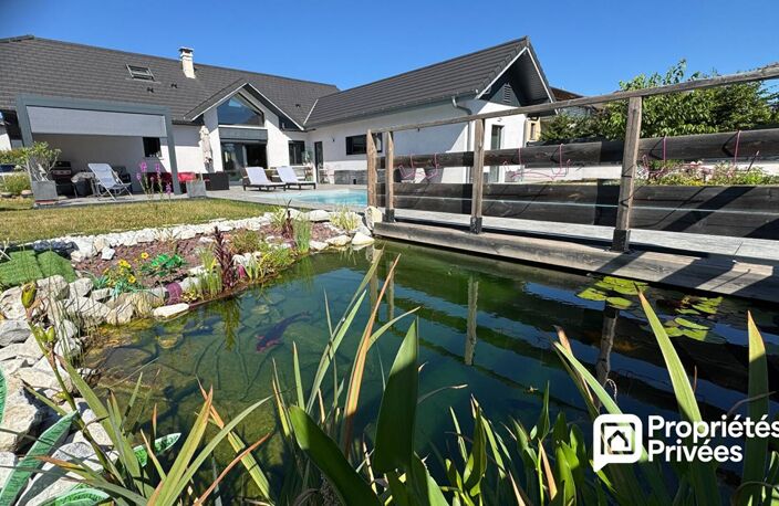 Propriété -7 pièces avec studio, piscine et local professionnel — photo 4