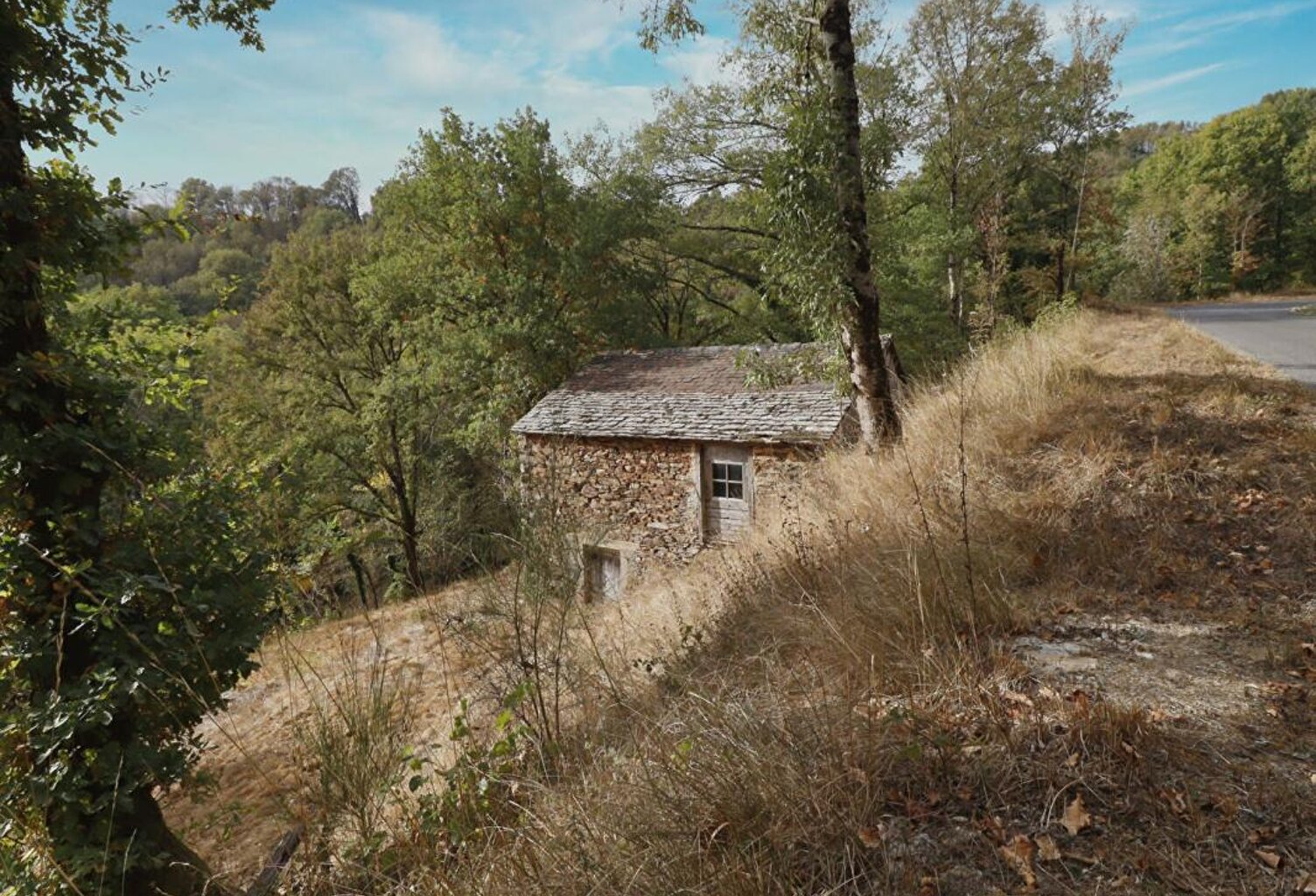LACAZE - TERRAIN AGRICOLE AVEC GRANGE EN PIERRE — photo 1