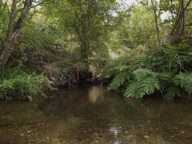 LACAZE - TERRAIN AGRICOLE AVEC GRANGE EN PIERRE — photo 4