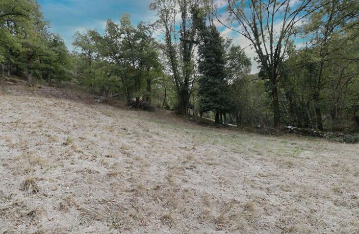 LACAZE - TERRAIN AGRICOLE AVEC GRANGE EN PIERRE — photo 5