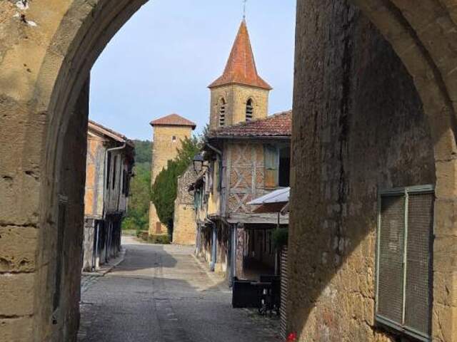 Maison Tillac 8 pièce(s) 350 m2 avec jardin et dépendances — photo du bien