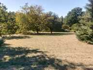 Maison de plain-pied de 90 m2 sur une parcelle de plus de 4 000 m2 — photo 3