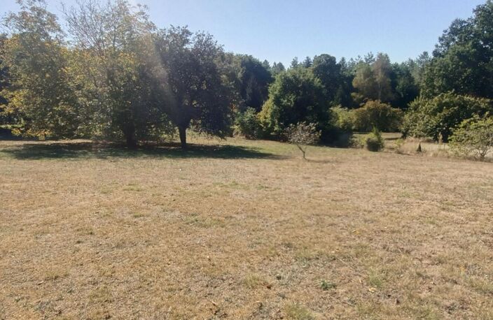 Maison de plain-pied de 90 m2 sur une parcelle de plus de 4 000 m2 — photo 4