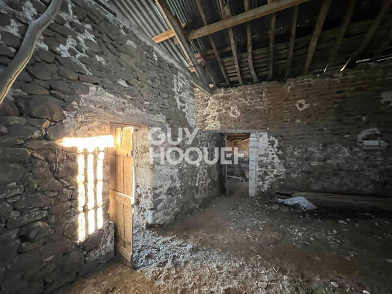 terrain — photo 1