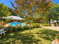 Périgourdine 150 m2, piscine, beau parc de 5180m2 — photo 4
