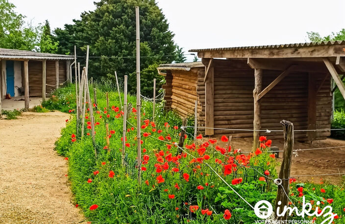 DOMAINE 7HA  avec  écurie privée - Toulouse SE — photo 2