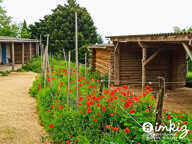 DOMAINE 7HA  avec  écurie privée - Toulouse SE — photo 2