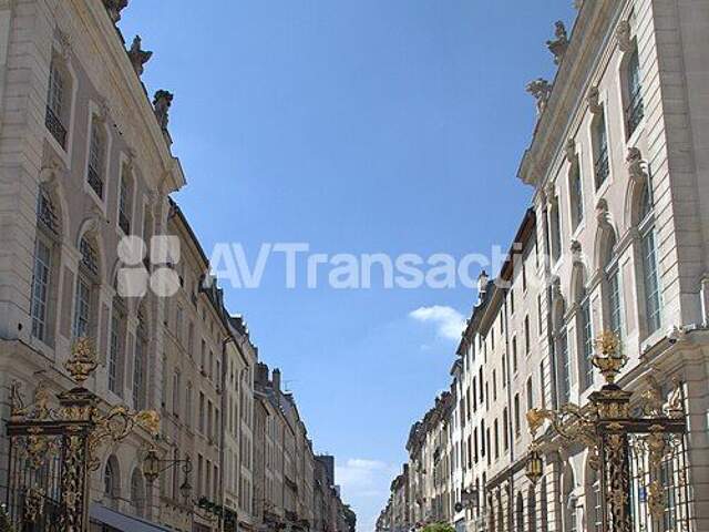 Bel immeuble de rapport  rue Stanislas NANCY — photo du bien