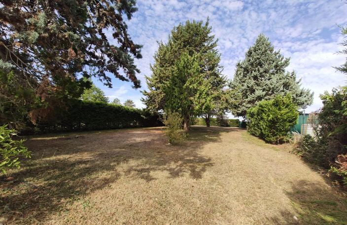 BAULE — photo 3