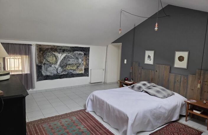 Propriété a vendre de 400 m², une maison principale et un logement attenant sur un terrain arboré de 3600 m² avec piscine et dépendances — photo 3
