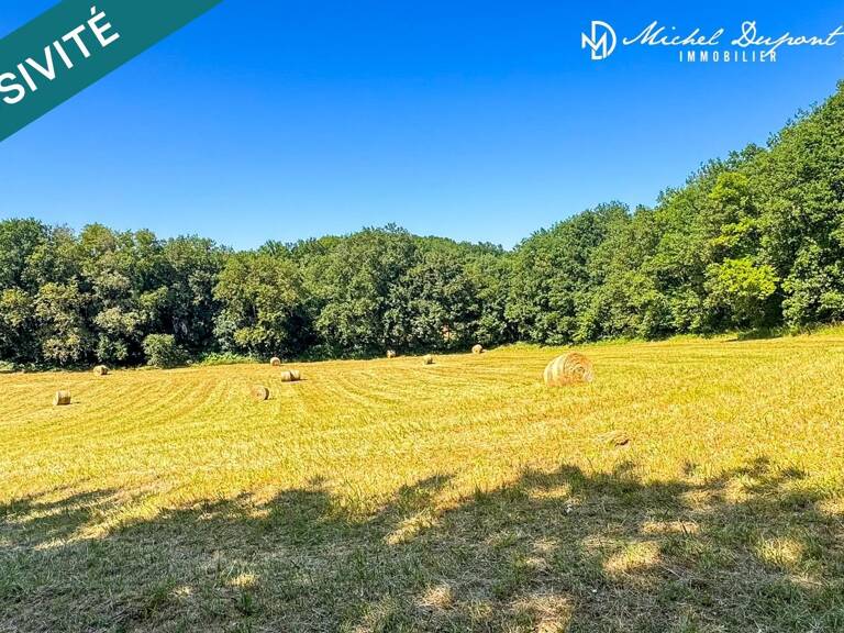 Une opportunité foncière rare entre Dordogne et Vézère — photo 1