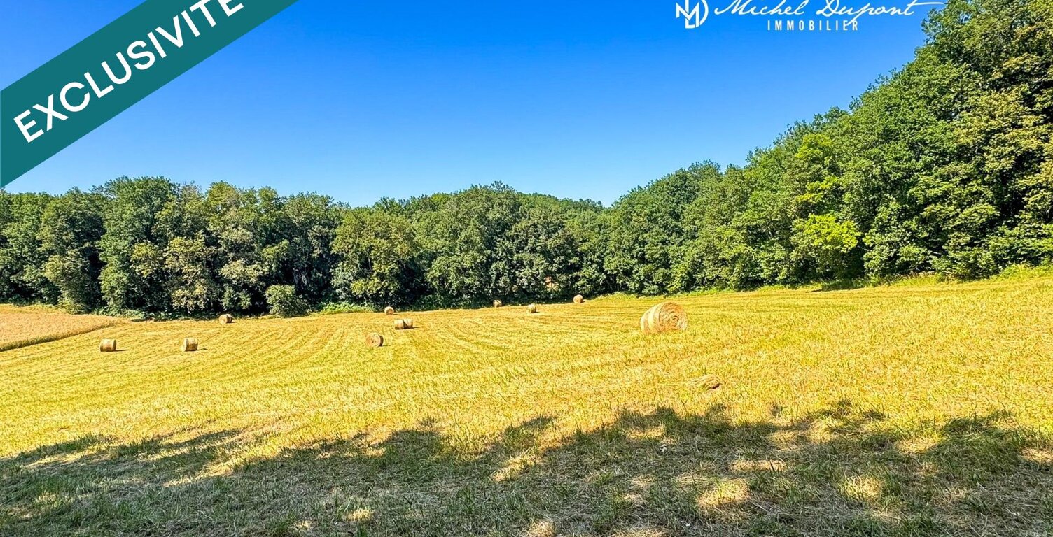 Une opportunité foncière rare entre Dordogne et Vézère — photo 1