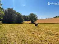 Une opportunité foncière rare entre Dordogne et Vézère — photo 2
