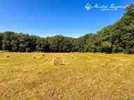 Une opportunité foncière rare entre Dordogne et Vézère — photo 3