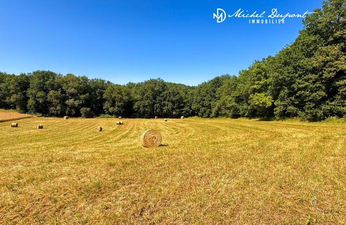 Une opportunité foncière rare entre Dordogne et Vézère — photo 3
