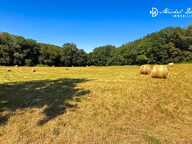 Une opportunité foncière rare entre Dordogne et Vézère — photo 4