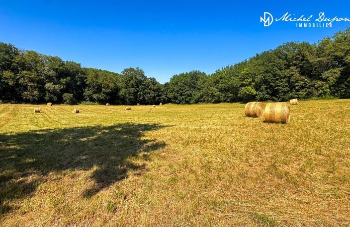 Une opportunité foncière rare entre Dordogne et Vézère — photo 4