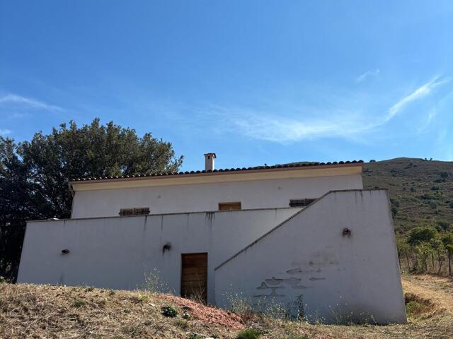 Maison à Omessa