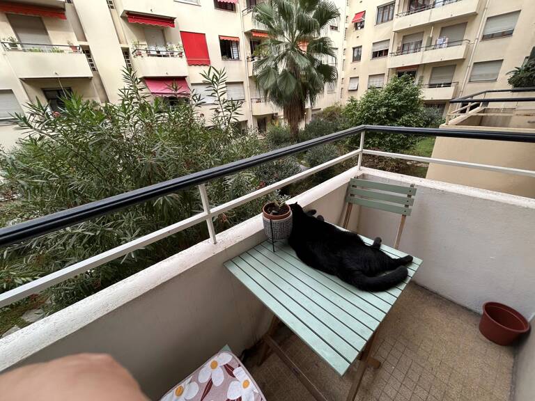 Beau T3 avec balcons — photo 1