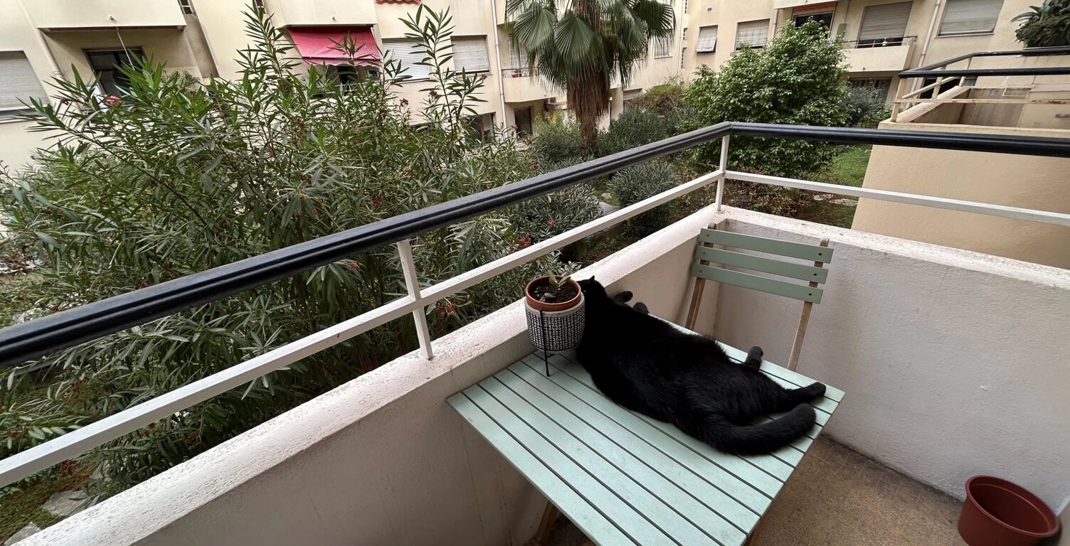 Beau T3 avec balcons — photo 1