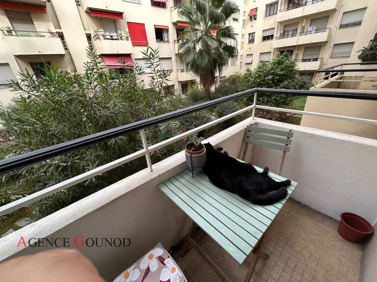 Beau T3 avec balcons — photo 1