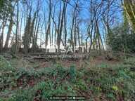 Beau terrain agricole 3,7 hect avec ruisseau — photo 3