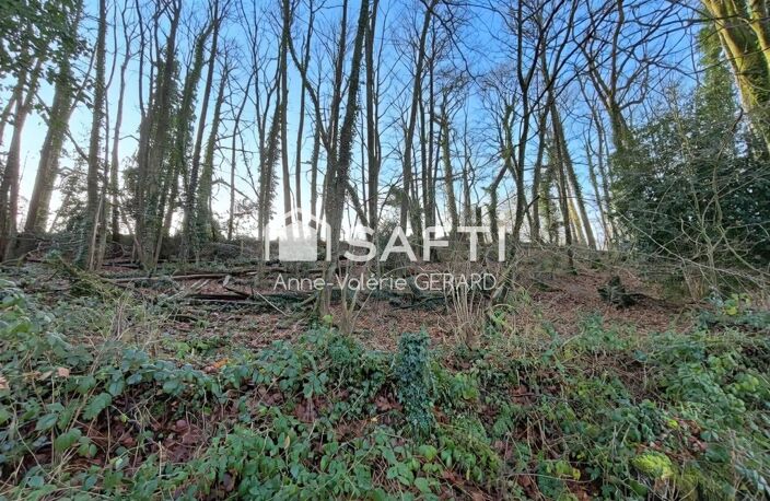 Beau terrain agricole 3,7 hect avec ruisseau — photo 3