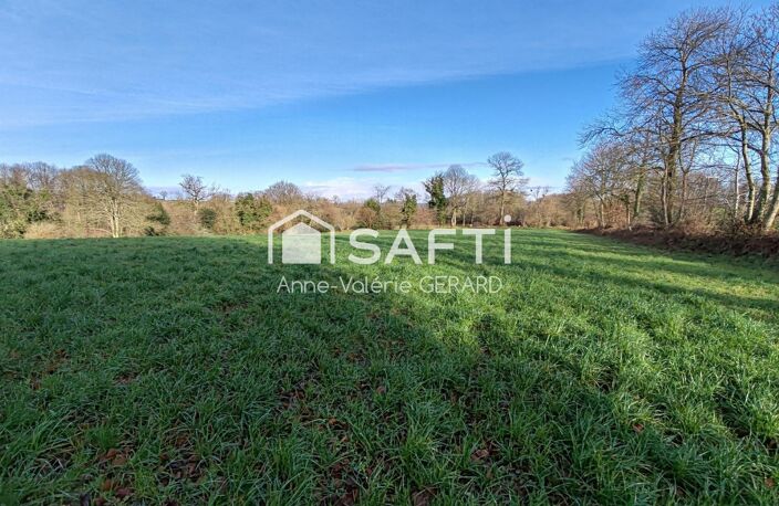 Beau terrain agricole 3,7 hect avec ruisseau — photo 4