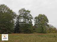Terrain à construire de 4 072m² à 5 mn du centre-ville d'Eauze — photo 3