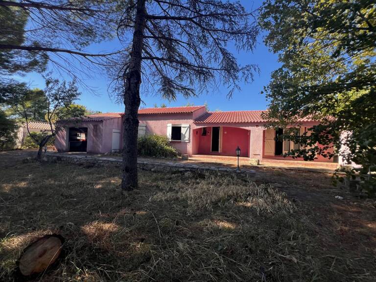 Maison grand terrain — photo 1