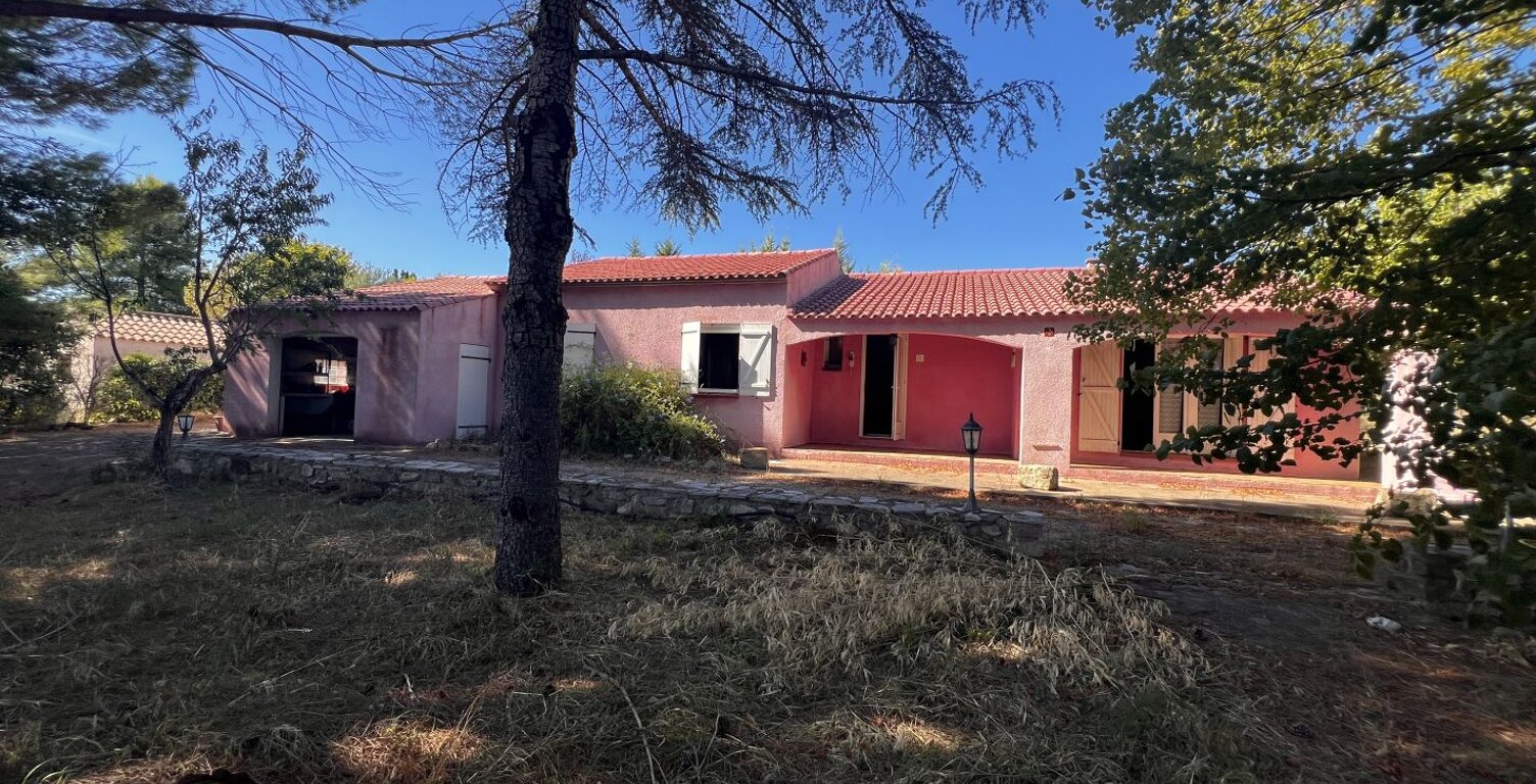Maison grand terrain — photo 1