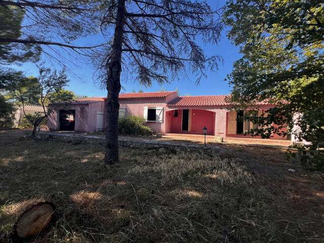 Maison grand terrain — photo du bien
