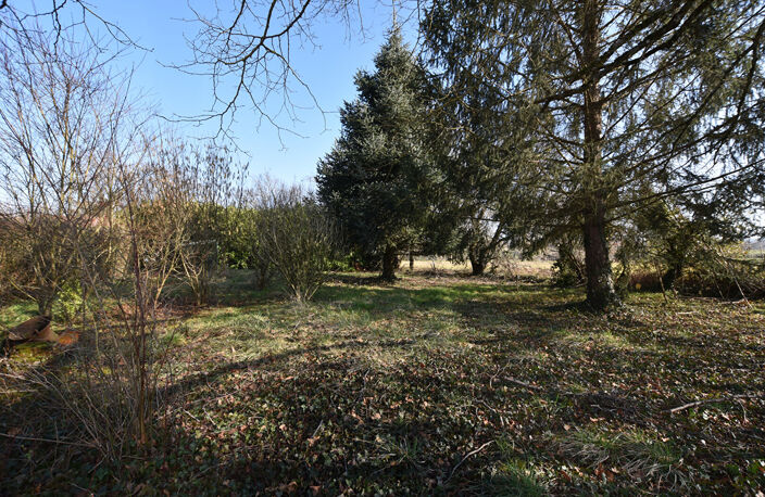 A 9KM DE VICHY — photo 3