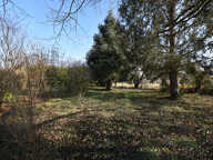 A 9KM DE VICHY : — photo 3