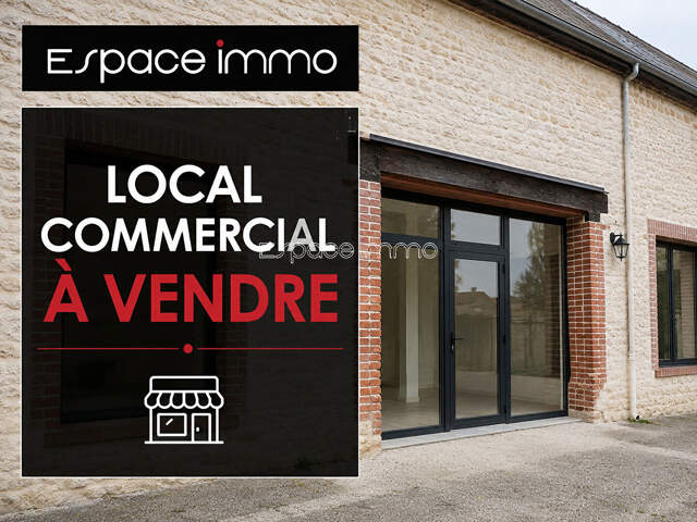 ENSEMBLE DE LOCAUX COMMERCIAUX - ANCEAUMEVILLE - 352 m² — photo du bien