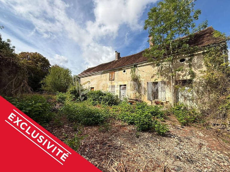 Maison ancienne avec dépendances sur 3 073 m² - Hameau de Treigny (89520) — photo 1
