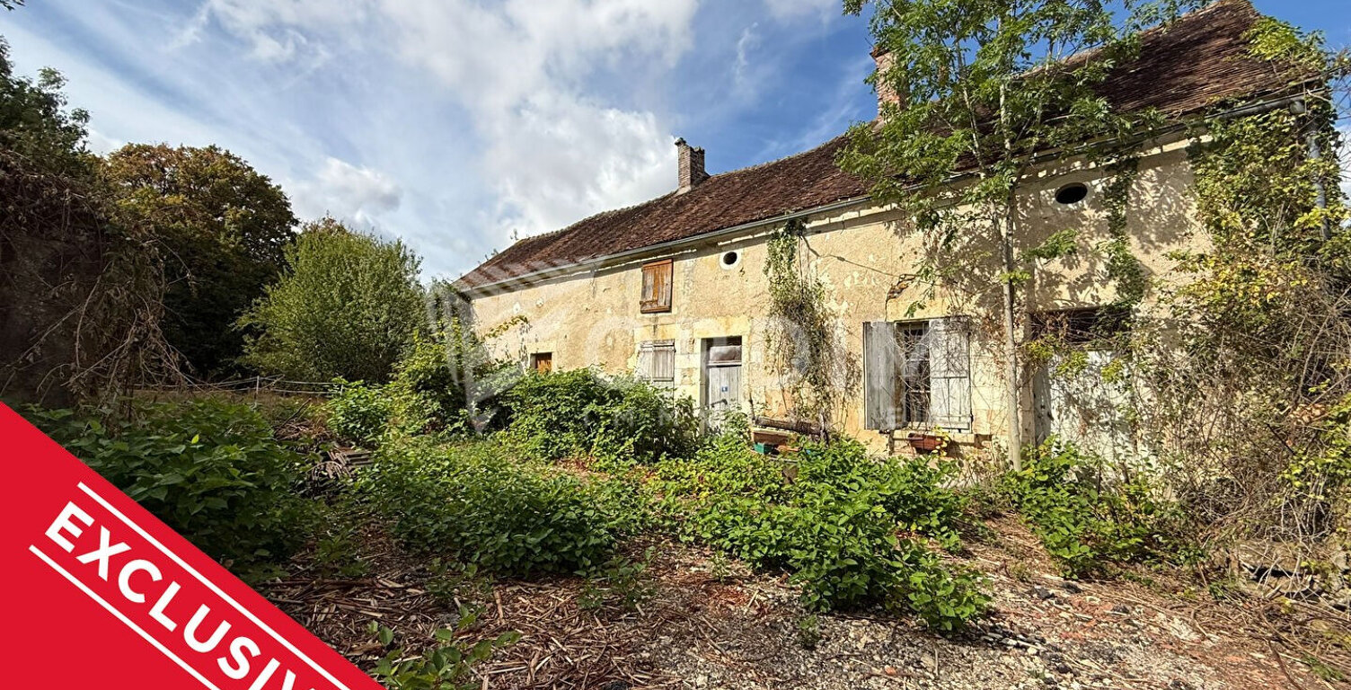 Maison ancienne avec dépendances sur 3 073 m² - Hameau de Treigny (89520) — photo 1