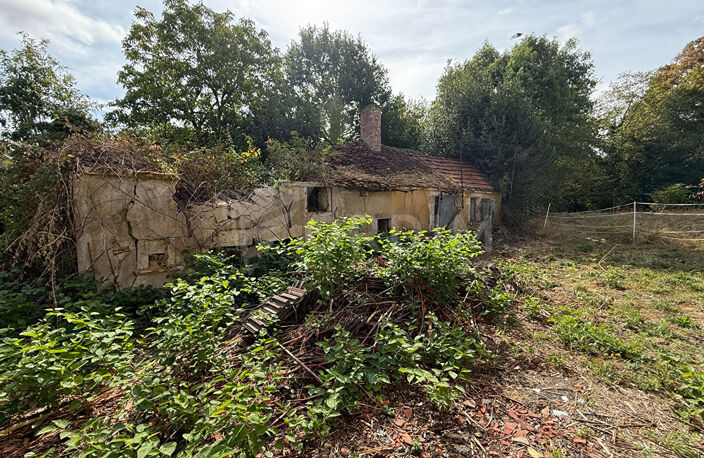 Maison ancienne avec dépendances sur 3 073 m² - Hameau de Treigny (89520) — photo 4