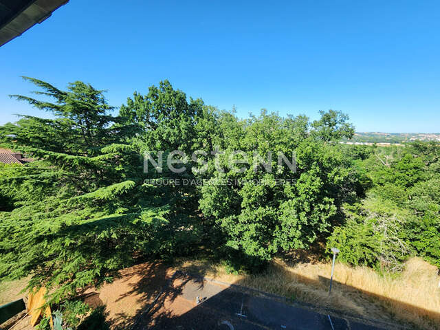 Appartement Toulouse T2 49 m2 avec parking et cave, vue degagee bois, quartier La Terrasse — photo du bien