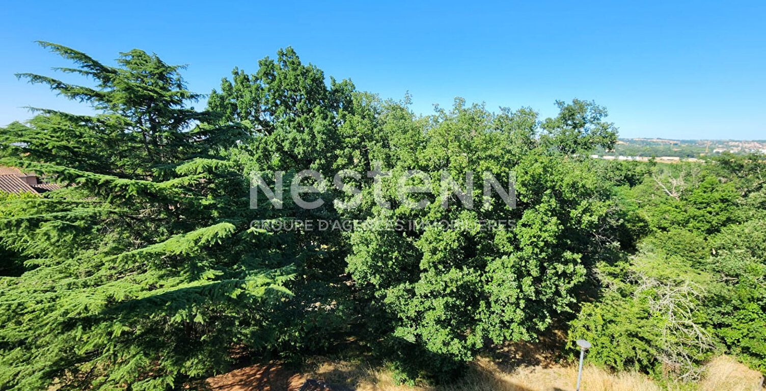 Appartement Toulouse T2 49 m2 avec parking et cave, vue degagee bois, quartier La Terrasse — photo 1