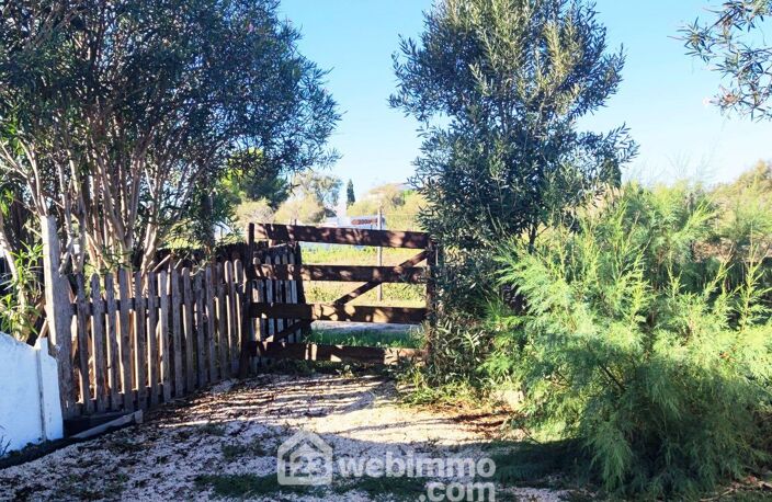 Appartement - 55m² - Saintes-Maries-de-la-Mer — photo 2