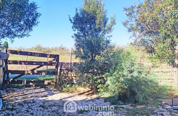 Appartement - 55m² - Saintes-Maries-de-la-Mer — photo 3