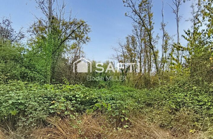 5 855 m² de parcelle boisée — photo 2