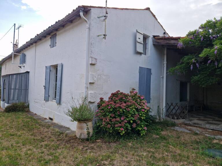 A DÉCOUVRIR SANS TARDER ! — photo 1